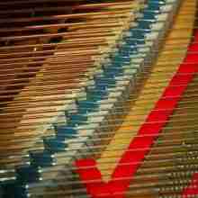 Strings