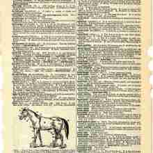 VintageDataDictionary