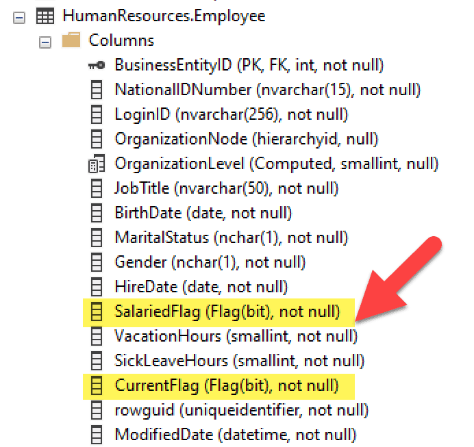 SQL Bit Type used as Flag (true or falsue) values.